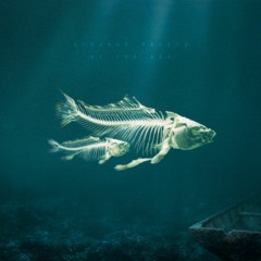 Strange Fruits Of The Sea