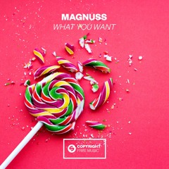 Magnuss - What You Want [OUT NOW]