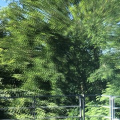 less hidden story (p.1)