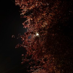 Let It Go (Prod. Fifth Element)