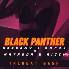 Nebezao Ft. Rafal X Matroda, Ricci - Black Panther (Na Na Na) (Tribeat Mash)
