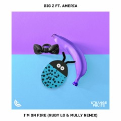 Big Z - I'm On Fire (ft. Ameria)(Ruby LO & Mully Remix)🍉