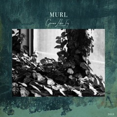 Grow Like Ivy | Original