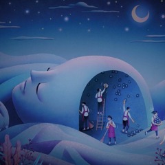 The Sleeping Observer (Hans Mathisen Cover)