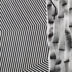 Premiere: Freedo Mosho - Dub Liners (Juriz Doc Remix) [Electronic Groove]