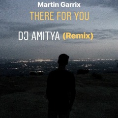 Martin Garrix & Troye Sivan - There For You (DJ Amitya Remix)