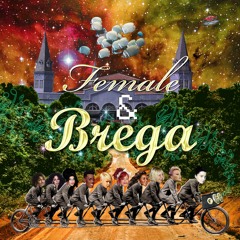 Jaloo - Female & Brega