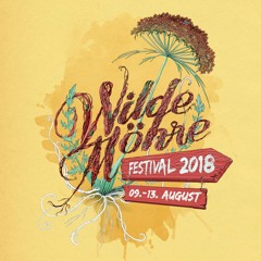 Marco Tegui @ Wilde Möhre Festival 2018 - Immergrün Stage -