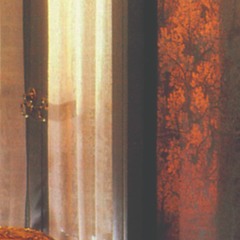 Dog Lady - A Desperate Bath (excerpt)