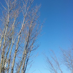 Homework (Prod. Zaythegeni)