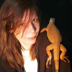 Убей мента (Psy-mix)