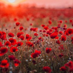 Haadha Loabinne   By Shifan