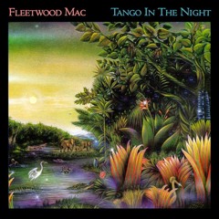 Fleetwood Mac - Isn't It Midnight (Twin Sun Edit)