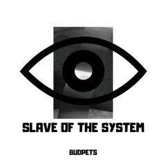 Slave Of The System