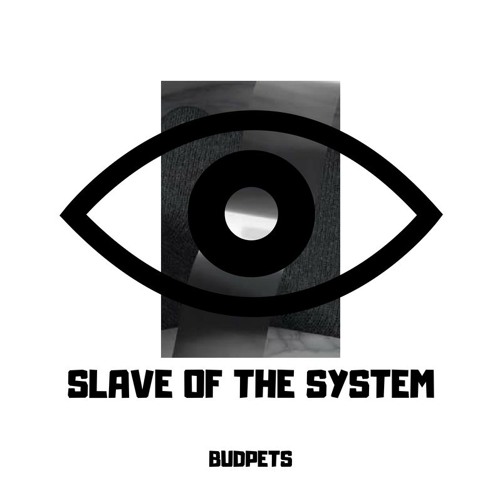 Slave Of The System