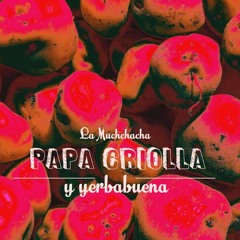 Papa Criolla Y Yerbabuena