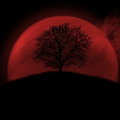 Sinan Varol - Luminescence