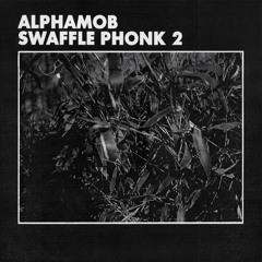 AlphaMob X Tightill - Schwedische Gardinen
