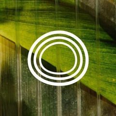 Jelly Cast Episode 01