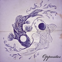 Opposites - Tae Gambino X Finesse Mike (prod lybandz)