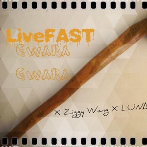 Gwara Gwara ft Ziggy Wangs x LUNAFITXVI(prod.by Melakai)