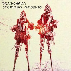 DRAGONFLY - STOMPING GROUNDS  ( BELOVED FESTIVAL 2018)