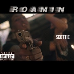 "Roaming" ScottieNopippen