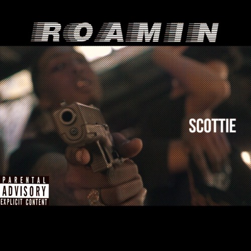 "Roaming" ScottieNopippen