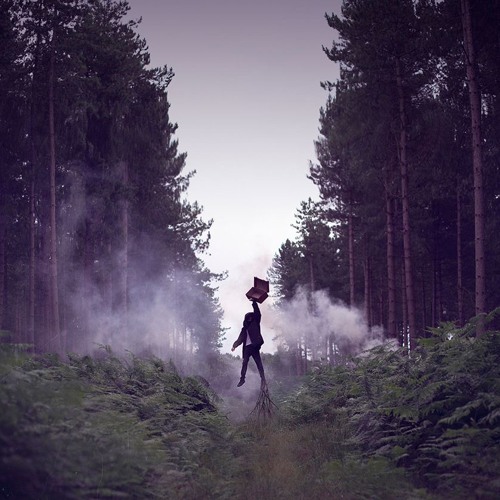 Roots by Imagine Dragons FT. Tyler John (cover)