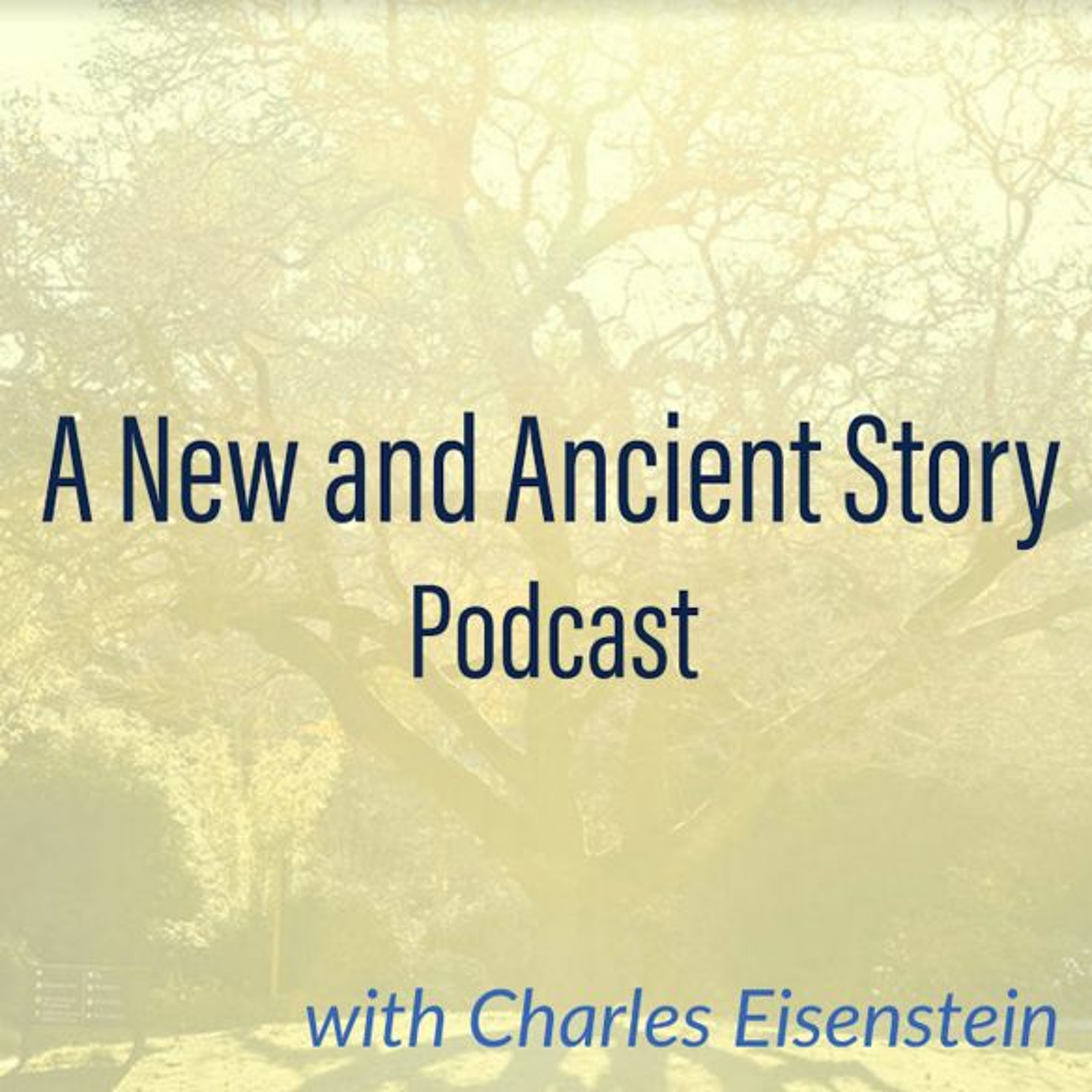 cover of episode Judith Schwartz: Ecological Healing with Water (E30)