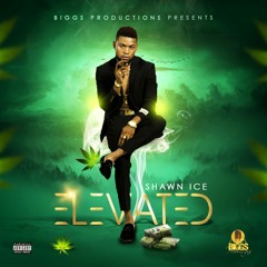 Shawn Ice - Elevated (Biggs Productions)
