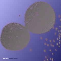 HEAD LEVEL - ULTERIOR VORTEX [MKFTR016 / MKFTR-KCT001] : SNIPPETS