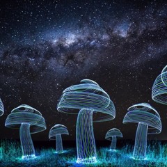 Where It All Began - The Mushrooms Are Listening DJ Set 2018