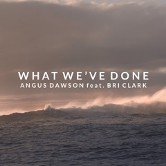 What We've Done (feat. Bri Clark)