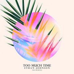 Ethan Johnson - Too Much Time (BABBiS remix)