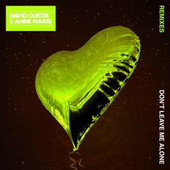 Don't Leave Me Alone (remixes)