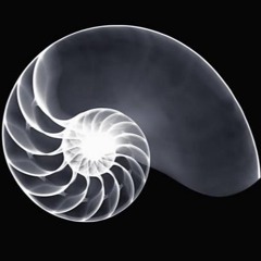 Golden Ratio - Dirty
