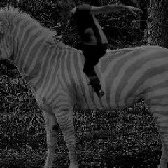 sash_liq - 20180817_3_st5 (zerba2 only)