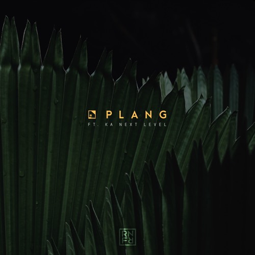 Plang ft. Ka Next Level
