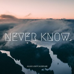 Alleo And Calebnair - Never Know (Radio Edit)