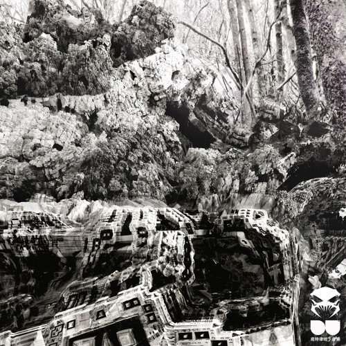 Itzokor & Ivan Shopov - Orbits