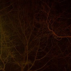 just step (prod. QUIETDOG)