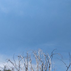 Last Orders - Nothing But Thieves (cover)