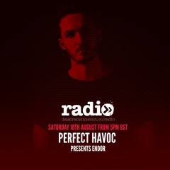 Perfect Havoc presents Endor