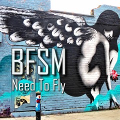 Need To Fly