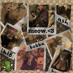 BOBBA A$H - MONEY WOP