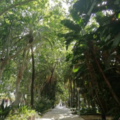 WDR Selektor Mixtape 11.08.2018