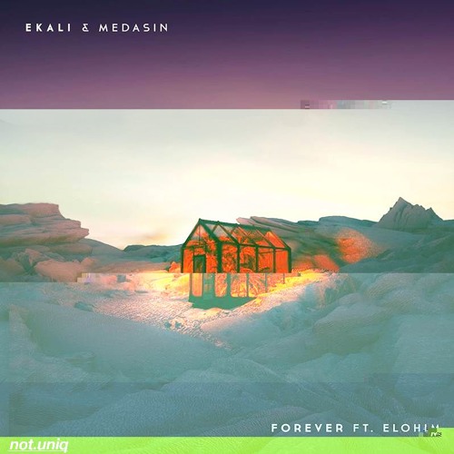 ekali x medasin - forever ft. elohim(not.uniq remix)