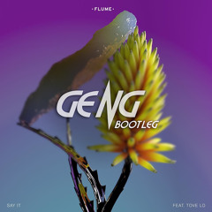 Flume - Say It (Geng Bootleg) FREE DOWNLOAD