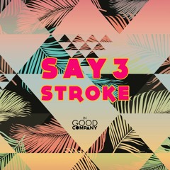 SAY3 - Stroke